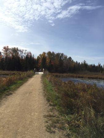 Three Eagle Trail